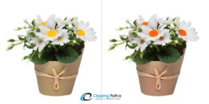 Color correction | Flower photo editing service