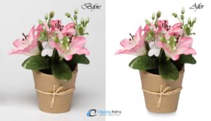 Drop Shadow | Flower photo editing service