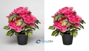 Transparent-photo | flower photo editing service
