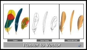 Raster to Vector | Clipping Path EU